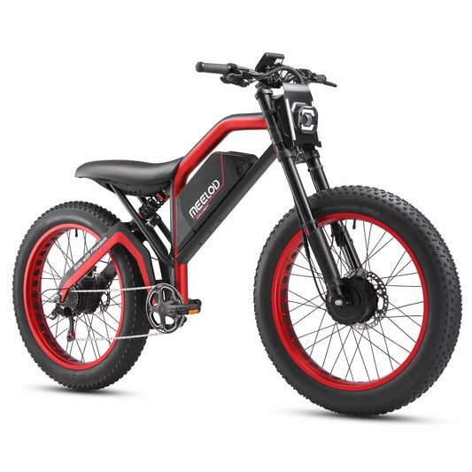 Meelod XT600DL Ebike