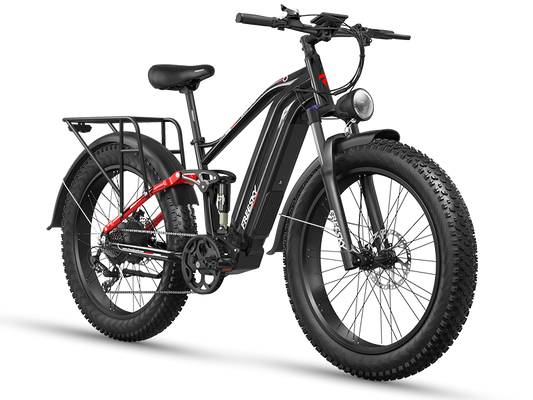 Eurostar Ultra M-410 Ebike