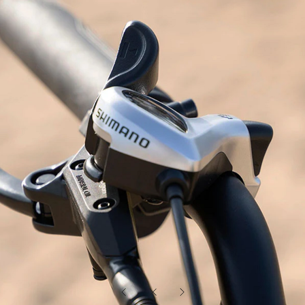 Gemini X - Fucare Gemini X - Fucare