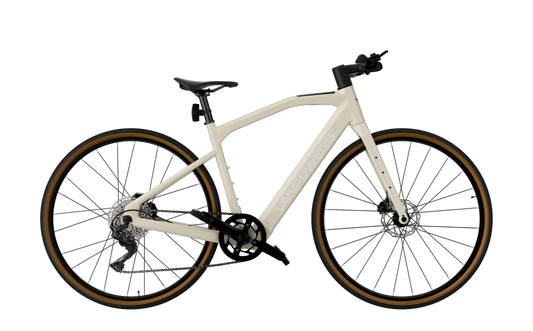 UrbanCross-Pro Ebike