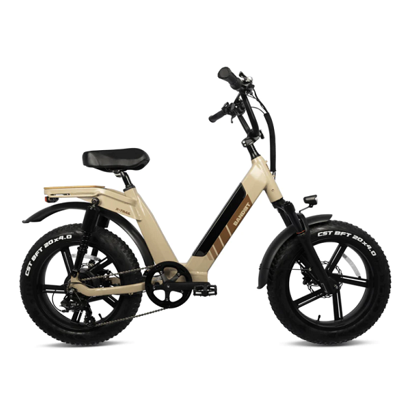 Deer Focus Ebikes
