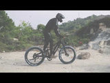 Swift Horse - Freesky Swift Horse - Freesky