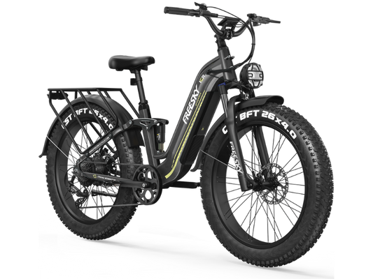 Wild Cat Ultra A-340 Ebike