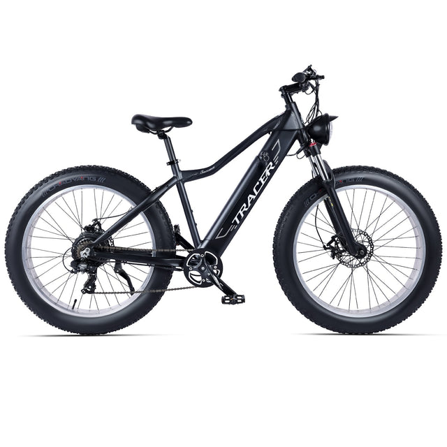 Fat tire electric bike