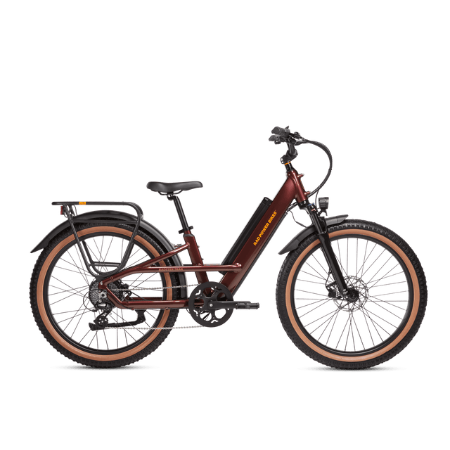 Electric mountain bike with suspension
