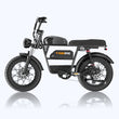 Tamobyke T73 Pro Max Electric Bike
