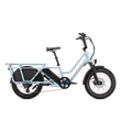 RadWagon 5 electric cargo bike, side view