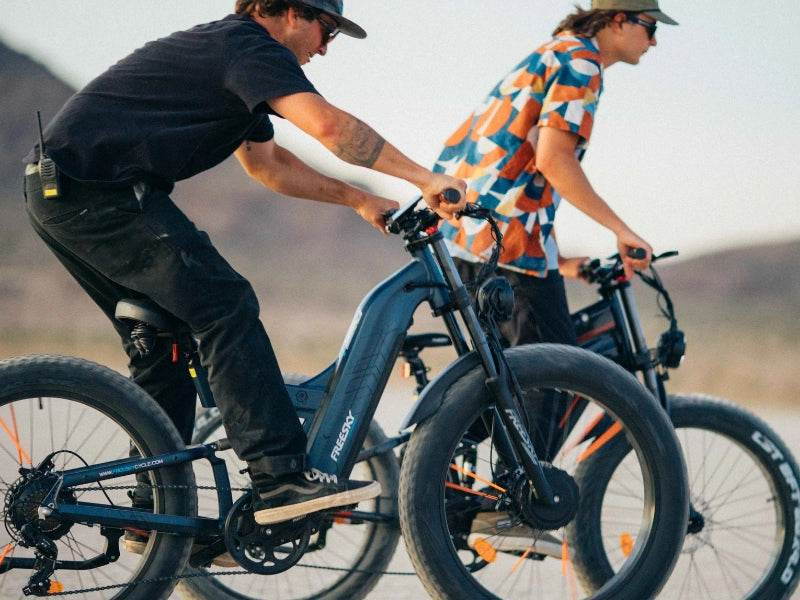 Warrior Pro M-530 Ebike