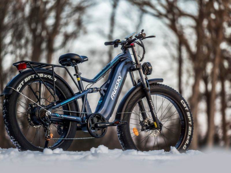 Swift Horse Pro X-6E Ebike