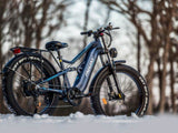 Swift Horse Pro X-6E Ebike