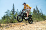 Tamobyke T73 Pro Max Electric Bike