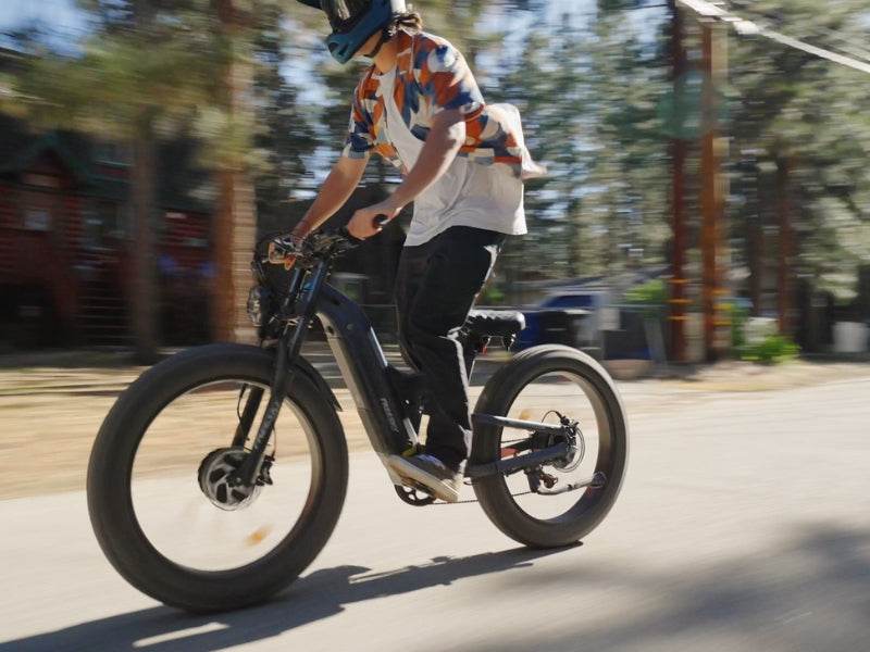 Warrior Pro M-530 Ebike