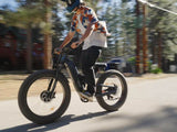 Warrior Pro M-530 Ebike