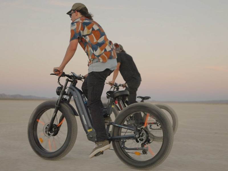 Warrior Pro M-530 Ebike