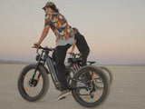 Warrior Pro M-530 Ebike