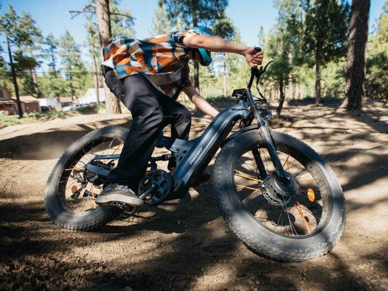 Warrior Pro M-530 Ebike