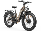 Ranger Air M-540 Ebike