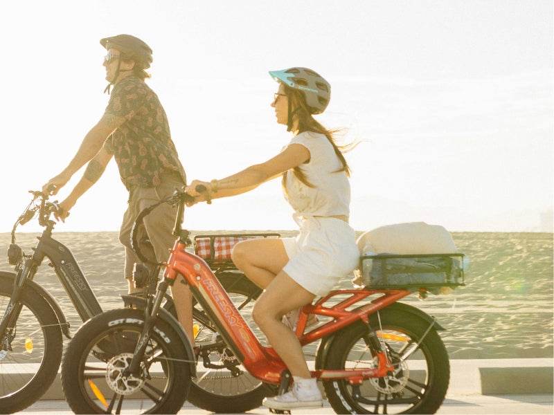 Rocky Pro A-320 Ebike