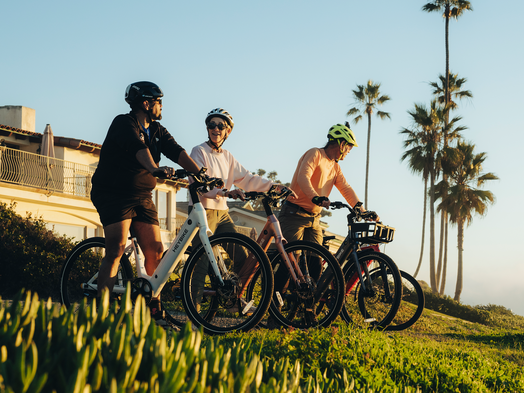 Venus Ebike