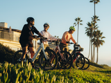 Venus Ebike