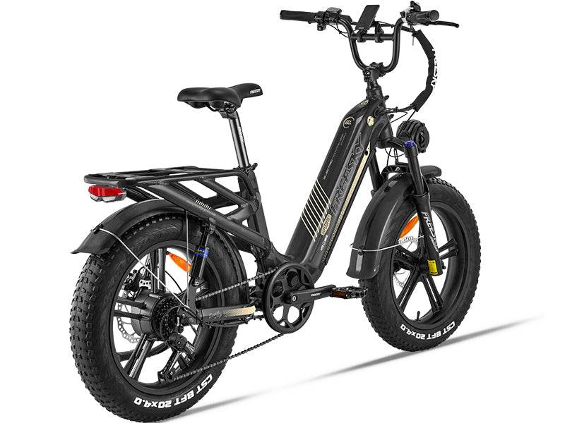 Rocky Pro A-320 Ebike