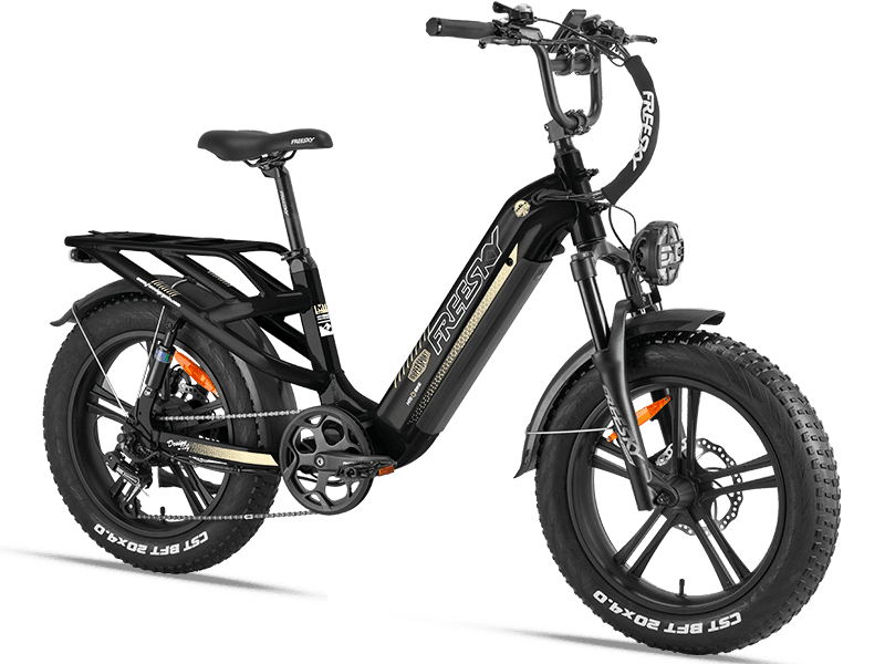 Rocky Pro A-320 Ebike