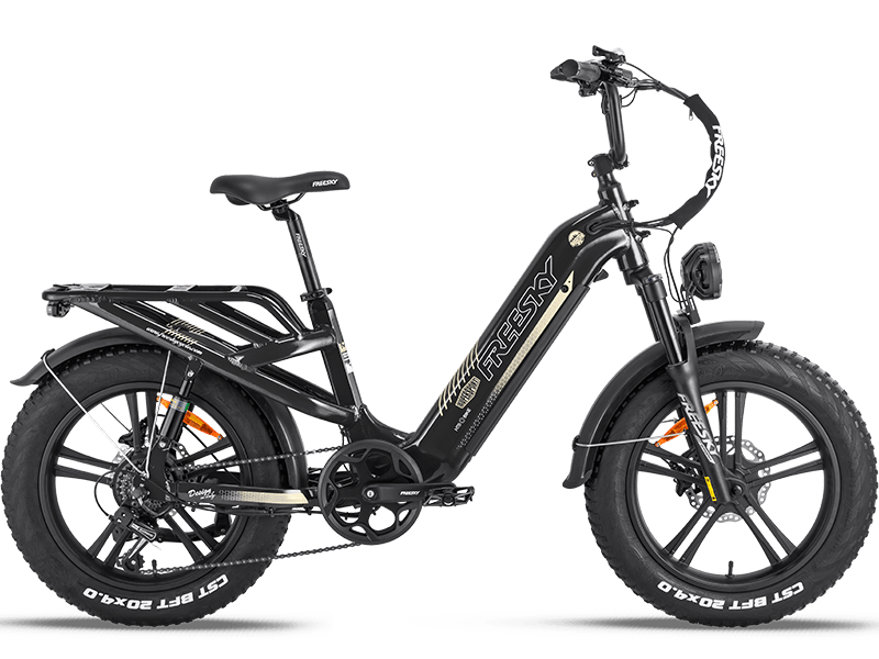 Rocky Pro A-320 Ebike