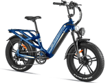 Rocky Pro A-320 Ebike