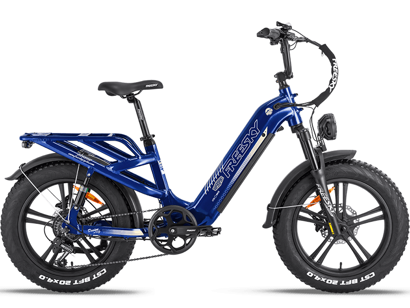 Rocky Pro A-320 Ebike