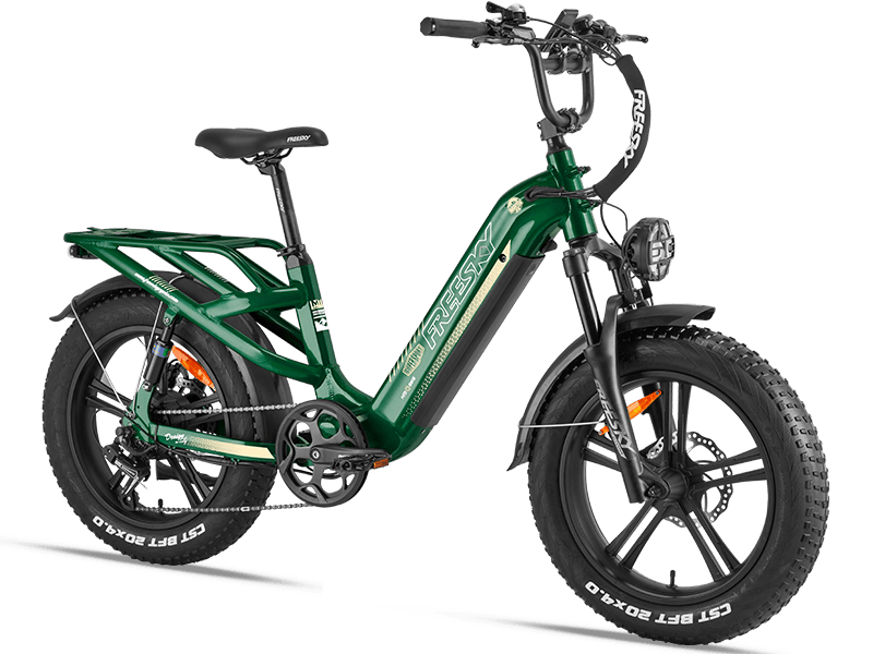 Rocky Pro A-320 Ebike