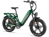 Rocky Pro A-320 Ebike