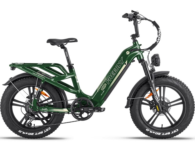 Rocky Pro A-320 Ebike