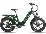 Rocky Pro A-320 Ebike
