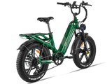 Rocky Pro A-320 Ebike