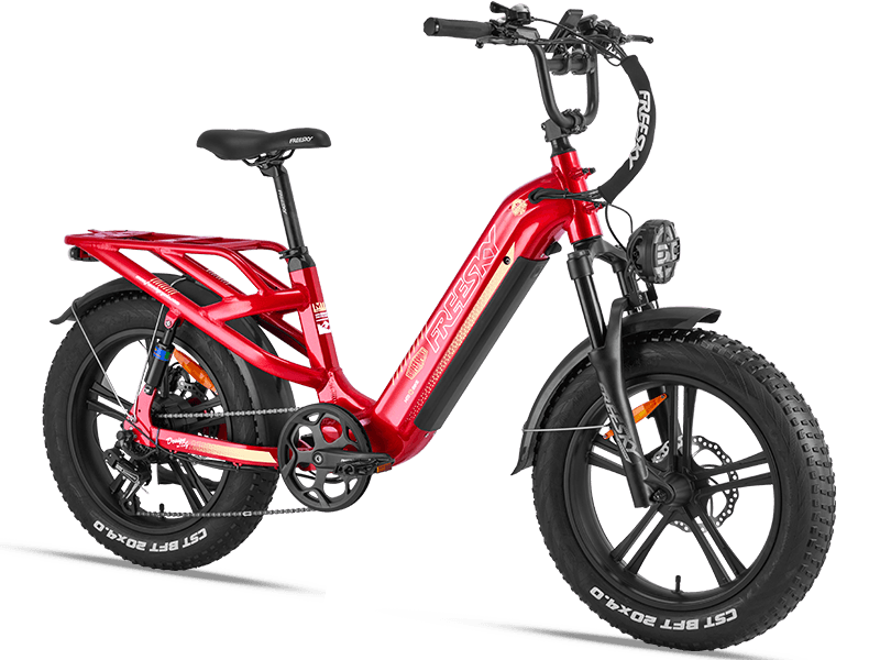 Rocky Pro A-320 Ebike