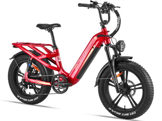 Rocky Pro A-320 Ebike
