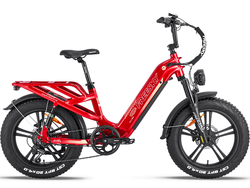 Rocky Pro A-320 Ebike