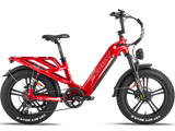 Rocky Pro A-320 Ebike