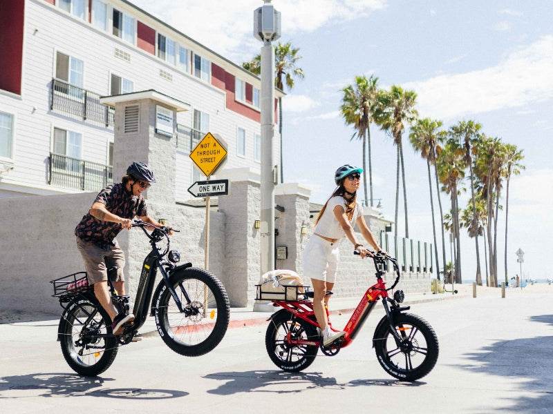 Rocky Pro A-320 Ebike
