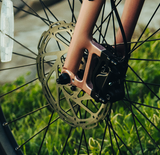 Venus Ebike