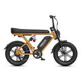 Meelod T16 Kids Ebike