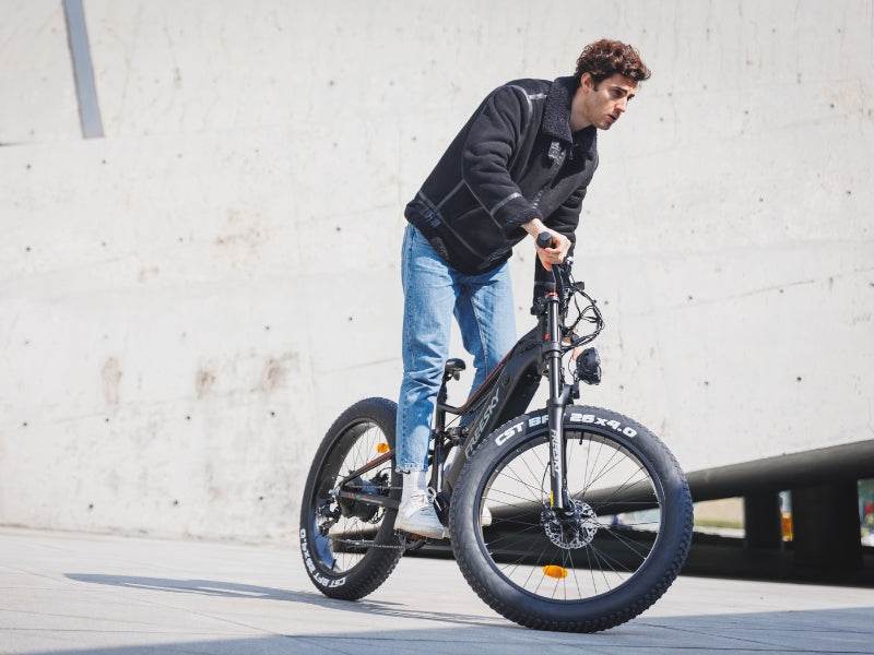 Swift Horse Pro X-6E Ebike