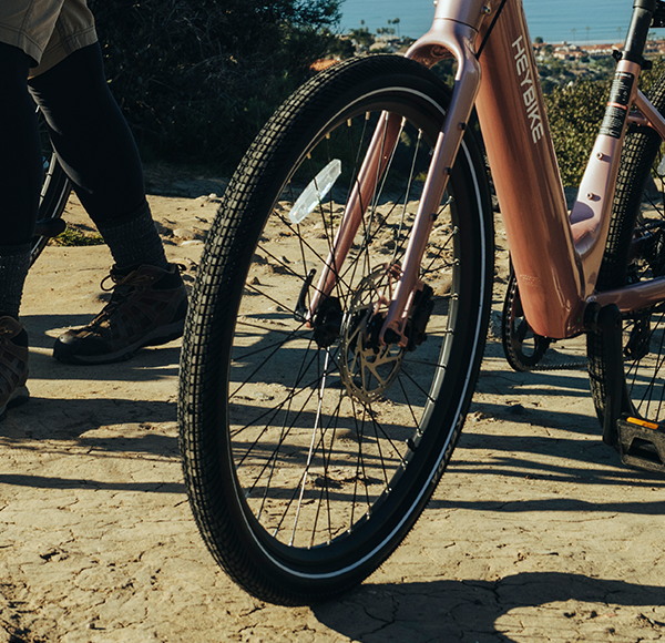 Venus Ebike