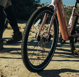 Venus Ebike