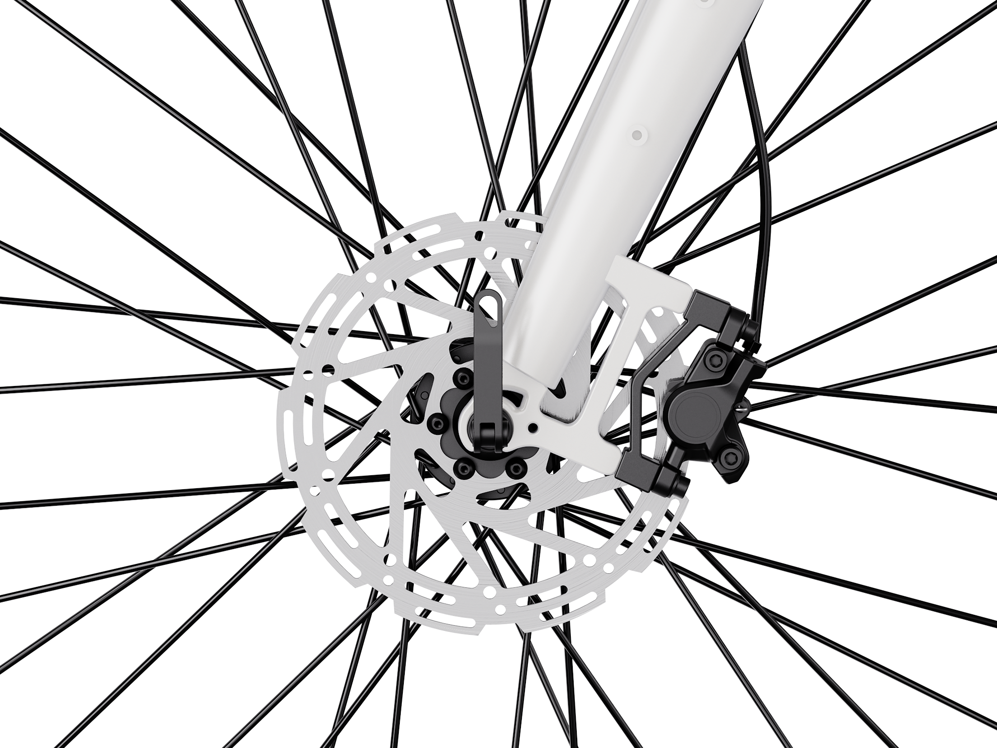 Venus Ebike