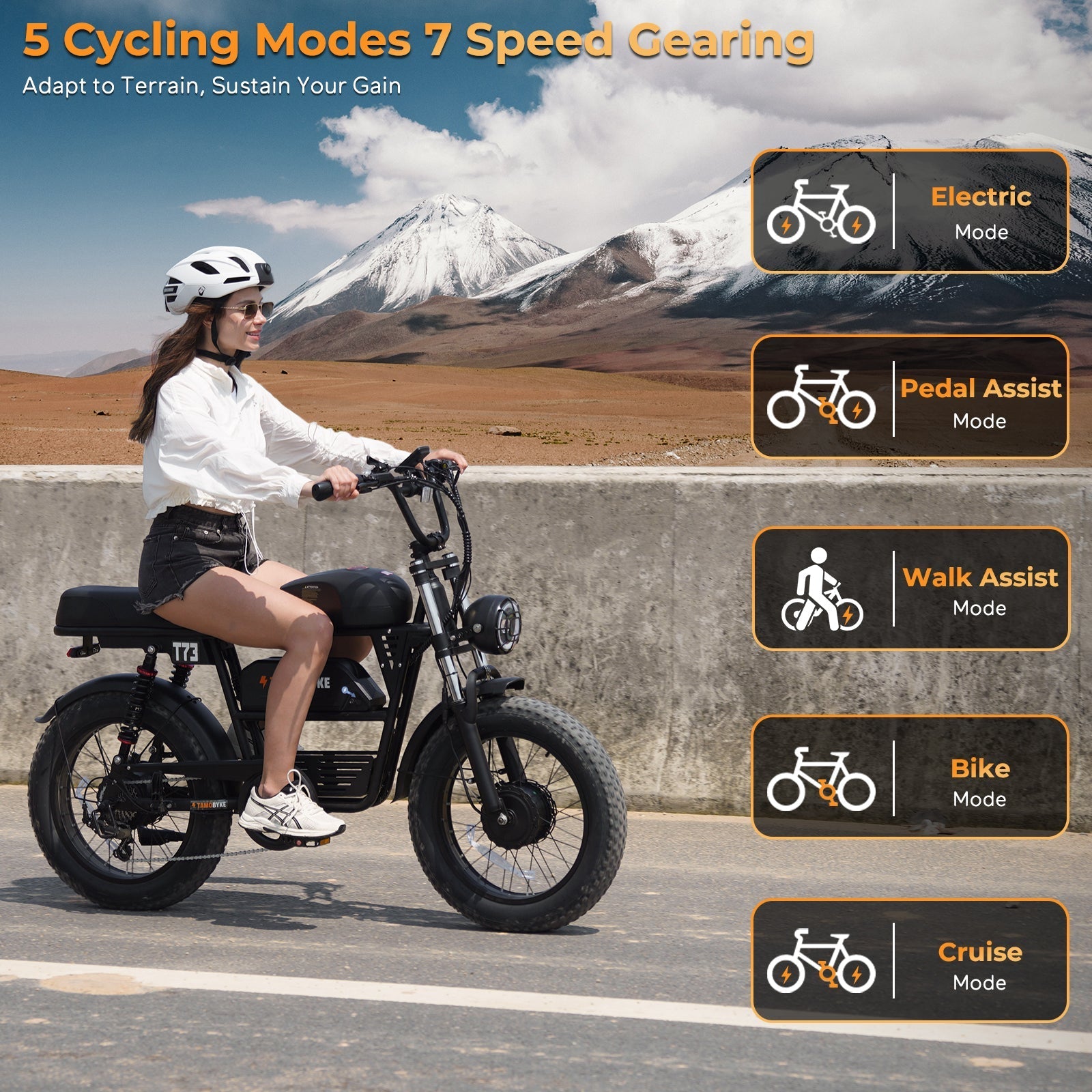 Tamobyke T73 Pro Max Electric Bike