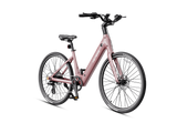 Venus Ebike