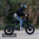 Meelod DK300MAX Ebike