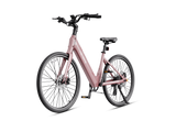 Venus Ebike