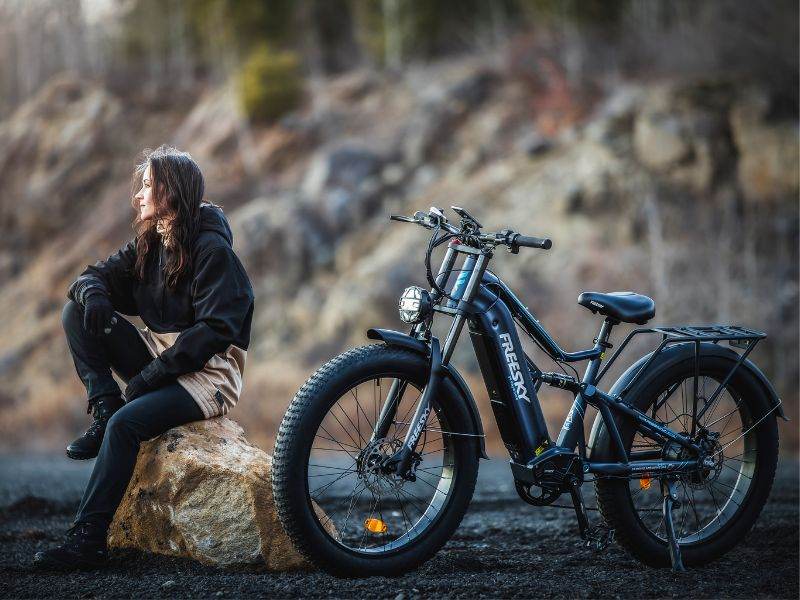 Swift Horse Pro X-6E Ebike